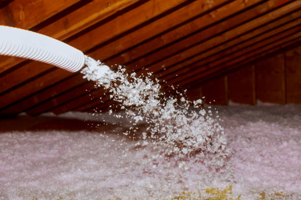 Types of Insulation We Offer in Rancho Palos Verdes, CA
