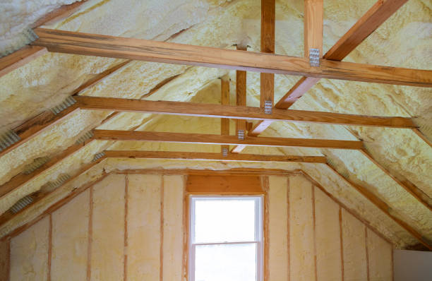 Best Geographic-Specific Insulation Services in Rancho Palos Verdes, CA
