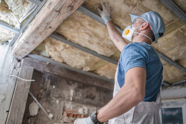 Best DIY Insulation Kits and Guidance in Rancho Palos Verdes, CA